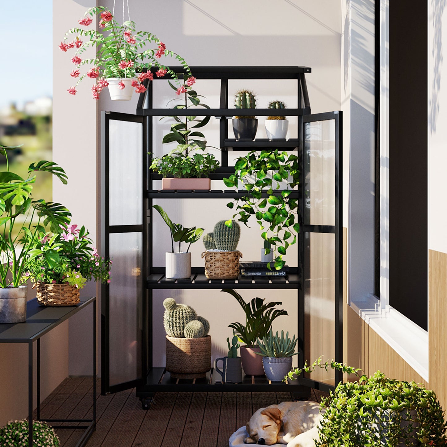 62inch Height Wood Large Greenhouse Balcony Portable Cold Frame with Wheels and Adjustable Shelves for Outdoor Indoor Use, Black
